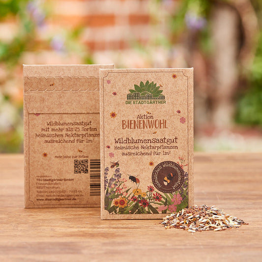 Saatguttütchen Wildblumen "Bienenwohl" 