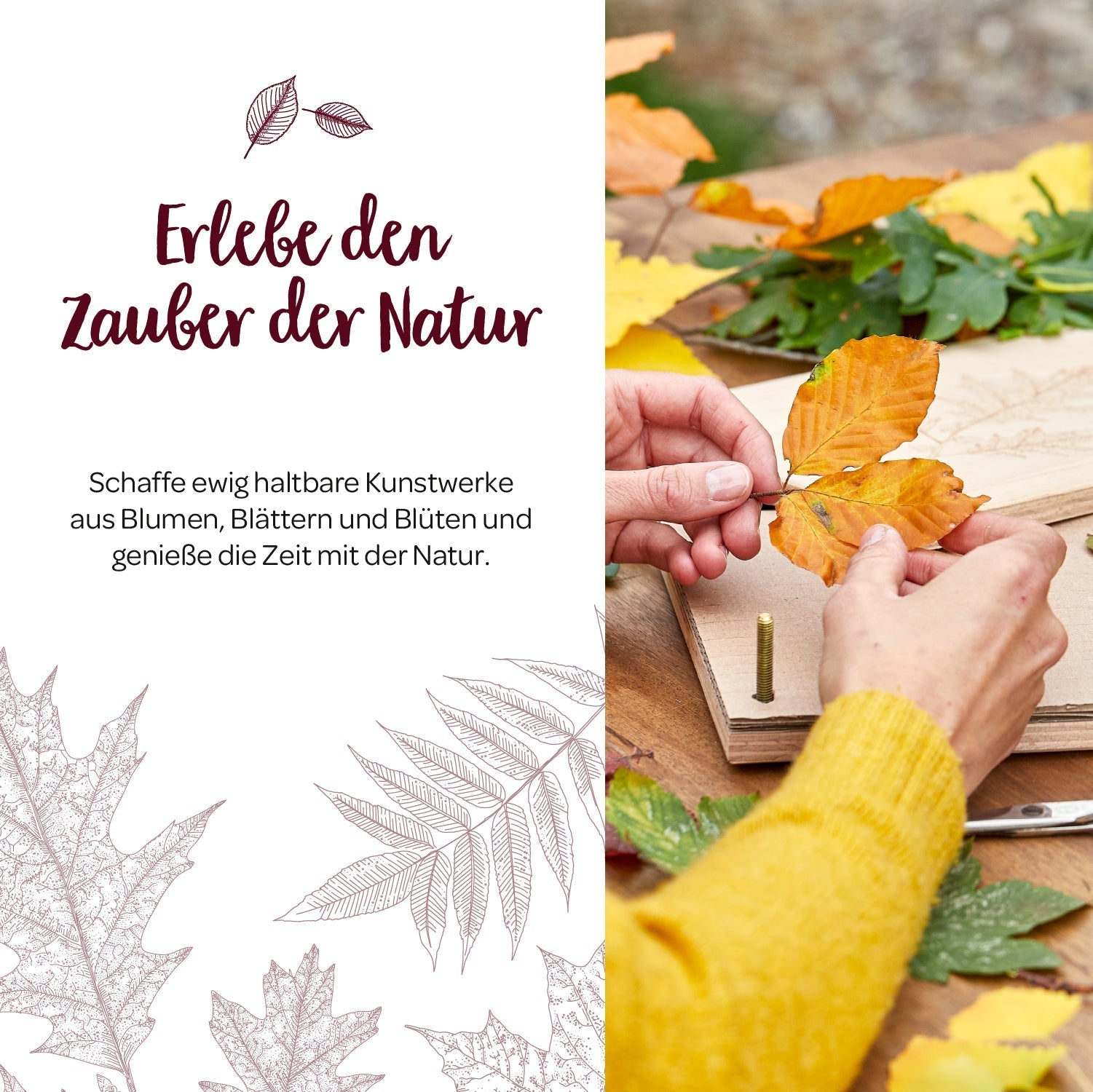 Blattpresse für Blätter & Blüten 