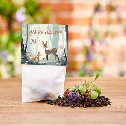 10x5 Blumenmurmeln im Tütchen – Waldfreunde 