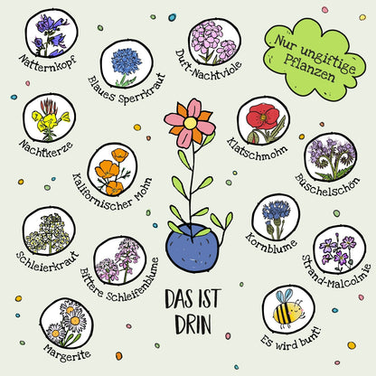 1 Blumenmurmel "Finns Wilde Wiese" 