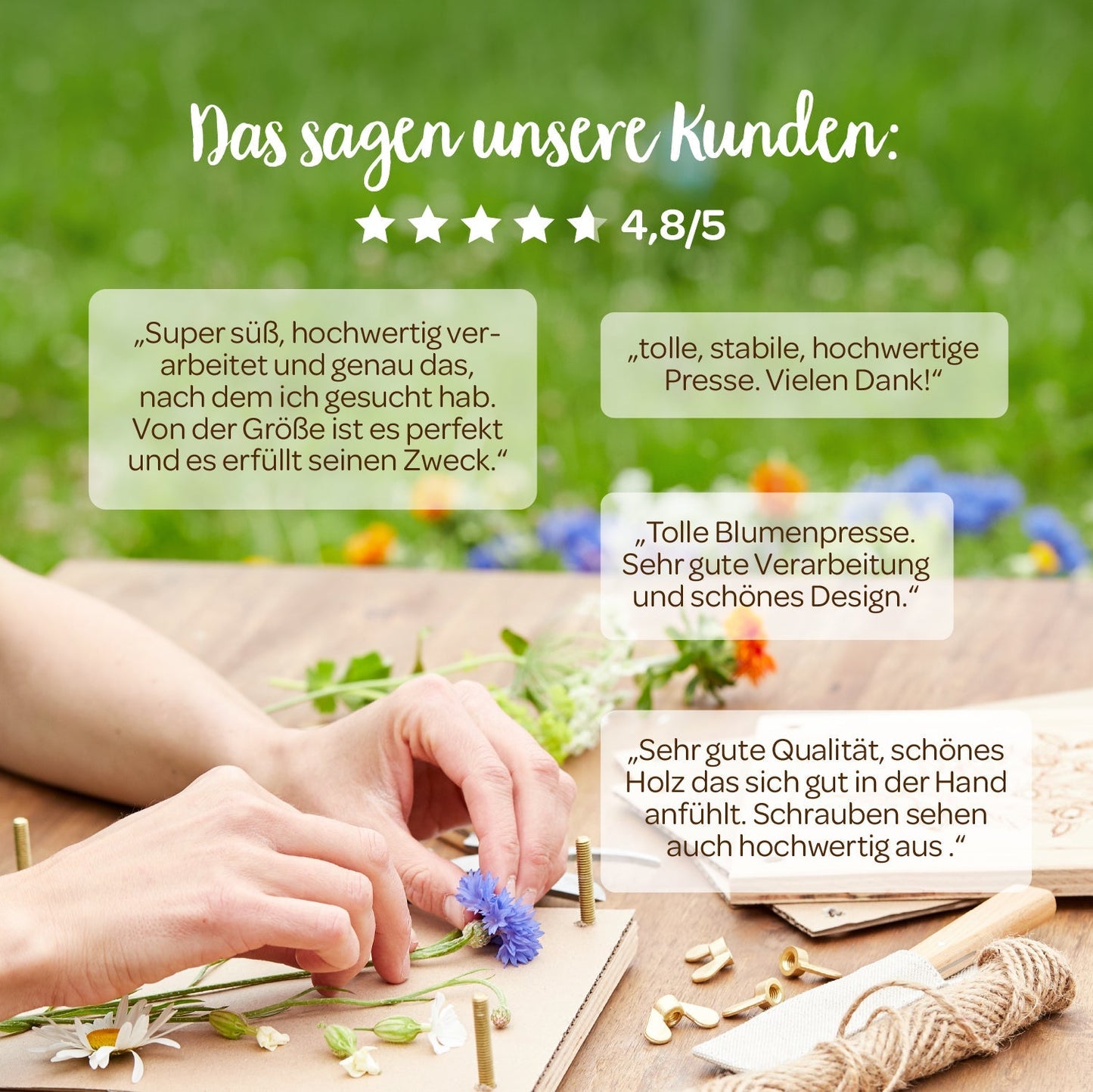 Blumenpresse für Blumen, Blüten & Co. 
