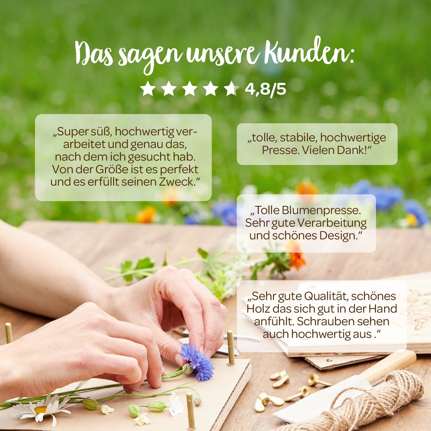 Blumenpresse für Blumen, Blüten & Co. 