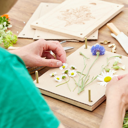 Blumenpresse für Blumen, Blüten & Co. 