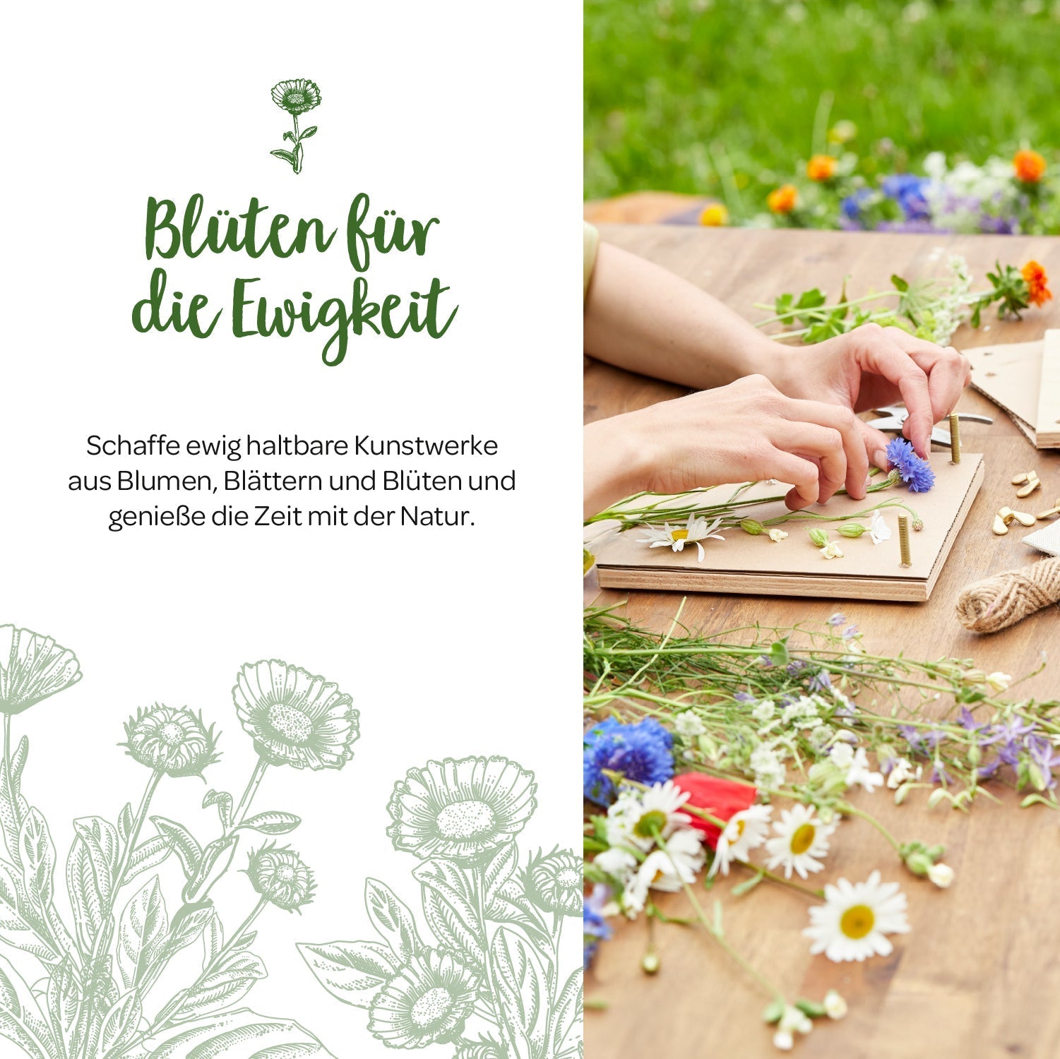 Blumenpresse für Blumen, Blüten & Co. 