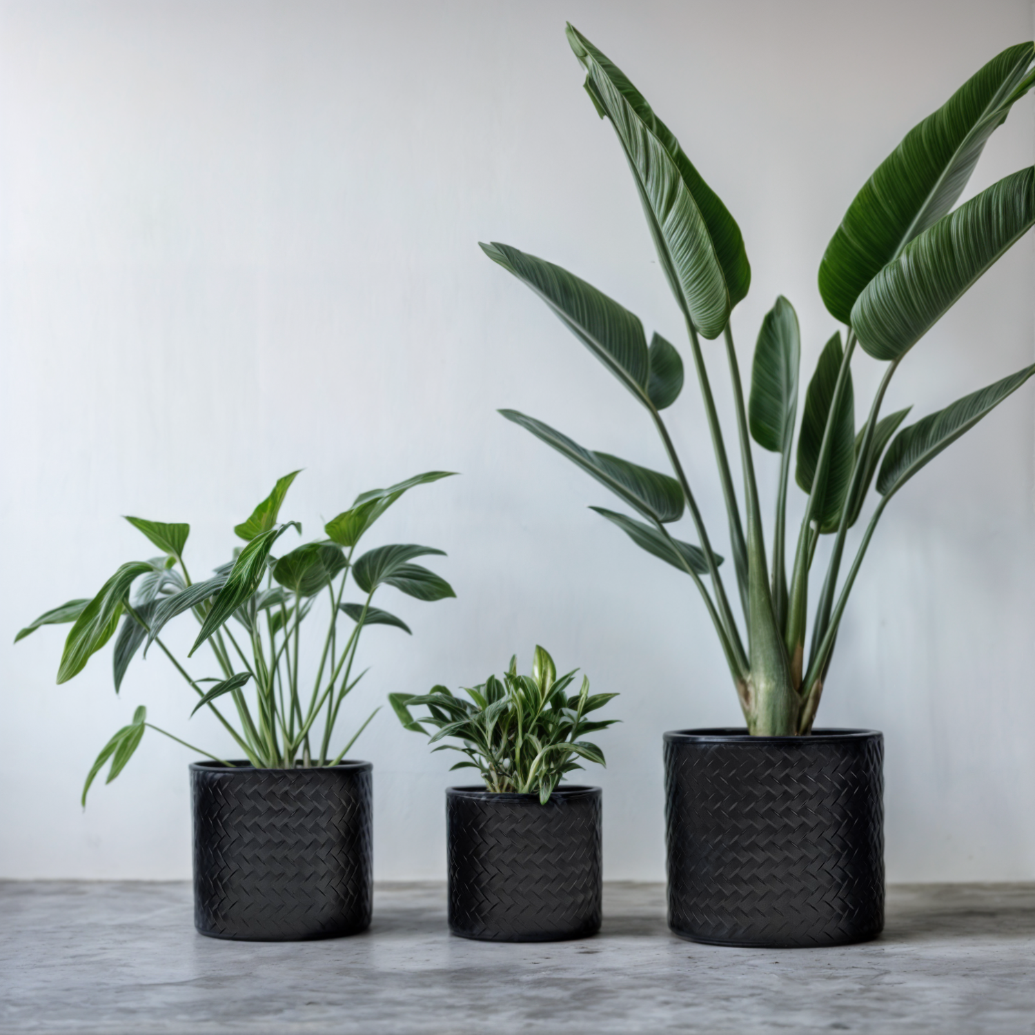 Blumentopf Übertopf Pflanzenkübel Topf Kübel 3er Set schwarz rund Metall Matt 