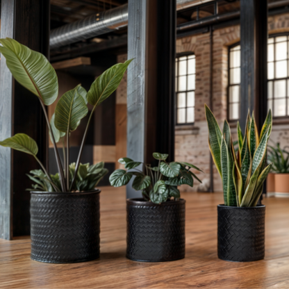 Blumentopf Übertopf Pflanzenkübel Topf Kübel 3er Set schwarz rund Metall Matt 