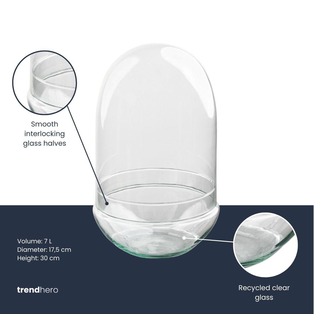 Flaschengarten Terrarium Ei XL – Rundes Kuppelterrarium aus recyceltem Glas – Ø17,5 cm, Höhe 30 cm – Nachhaltige Glasflasche für Pflanzen und Dekoration 