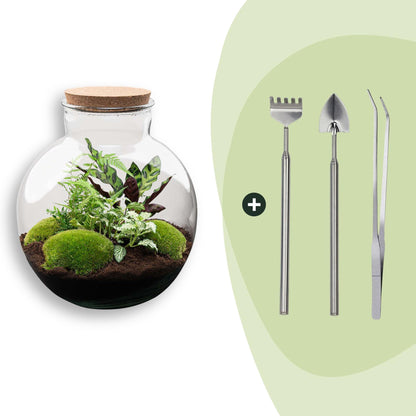 Flaschengarten Bolder Bob – Ø31cm – ↕30cm – DIY Terrarium mit Korkdeckel & Pflanzen – Ansicht 8