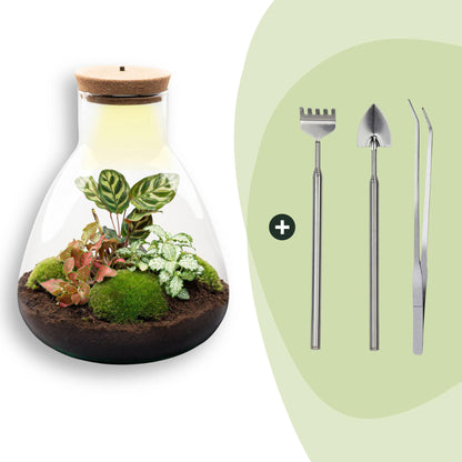 Flaschengarten Sam Calathea mit LED – DIY Bausatz Terrarium – ↕30cm – Do It Yourself Pflanzen – Set – Ansicht 9