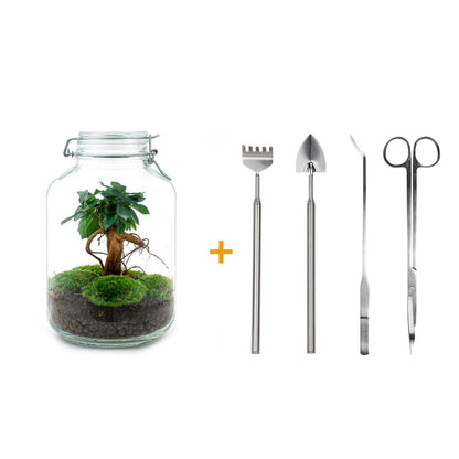 Flaschengarten DIY Bausatz Ficus Ginseng Bonsai – Terrarium Ø18cm H28cm – Selbstbewässerndes Mini – Ansicht 6