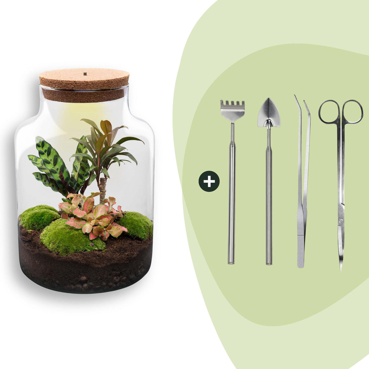 Flaschengarten Milky – DIY Bausatz Terrarium – ↕30cm – Do It Yourself Pflanzen – Set im Glas mit Korkdeckel – Ansicht 10