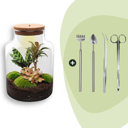 Flaschengarten Milky – DIY Bausatz Terrarium – ↕30cm – Do It Yourself Pflanzen – Set im Glas mit Korkdeckel – Ansicht 10