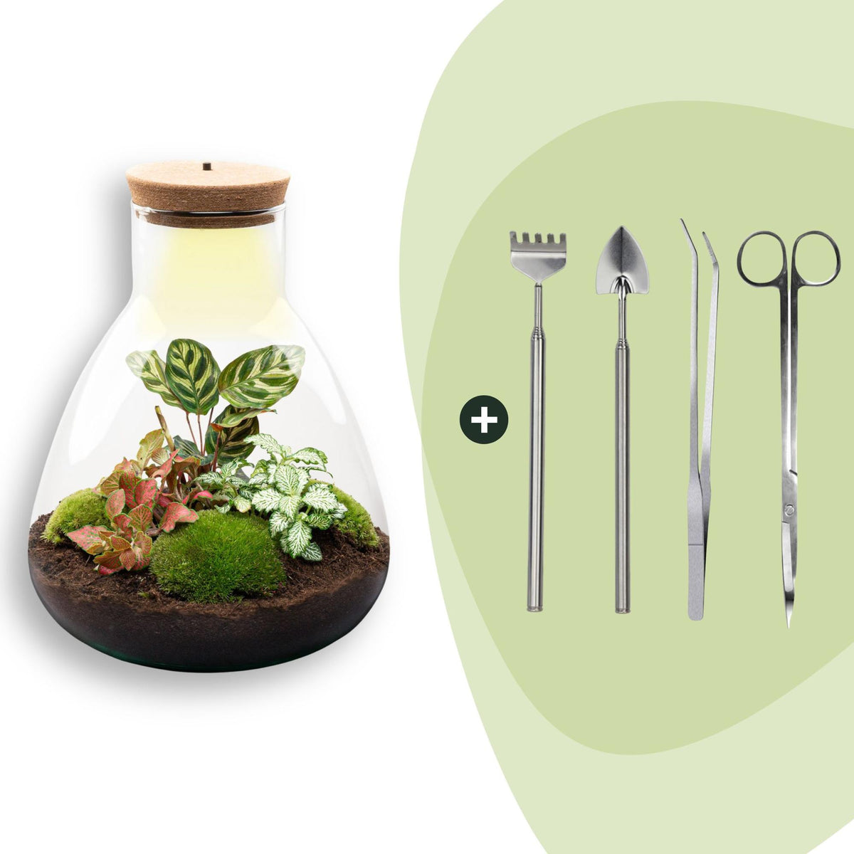 Flaschengarten Sam Calathea mit LED – DIY Bausatz Terrarium – ↕30cm – Do It Yourself Pflanzen – Set – Ansicht 10