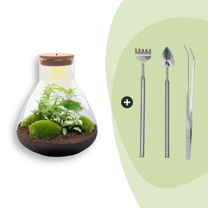 Flaschengarten Sam XL – DIY Bausatz Terrarium – ↕35cm – Do – It – Yourself Pflanzen – Set mit Korkdeckel – Ansicht 10