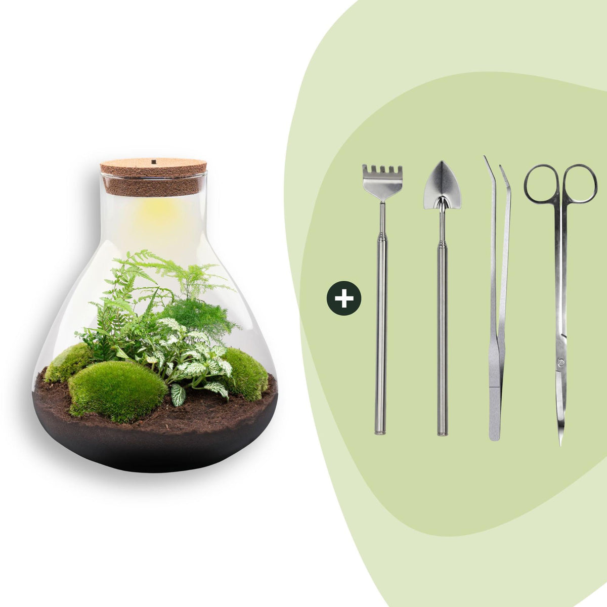Flaschengarten Sam XL – DIY Bausatz Terrarium – ↕35cm – Do – It – Yourself Pflanzen – Set mit Korkdeckel – Ansicht 11