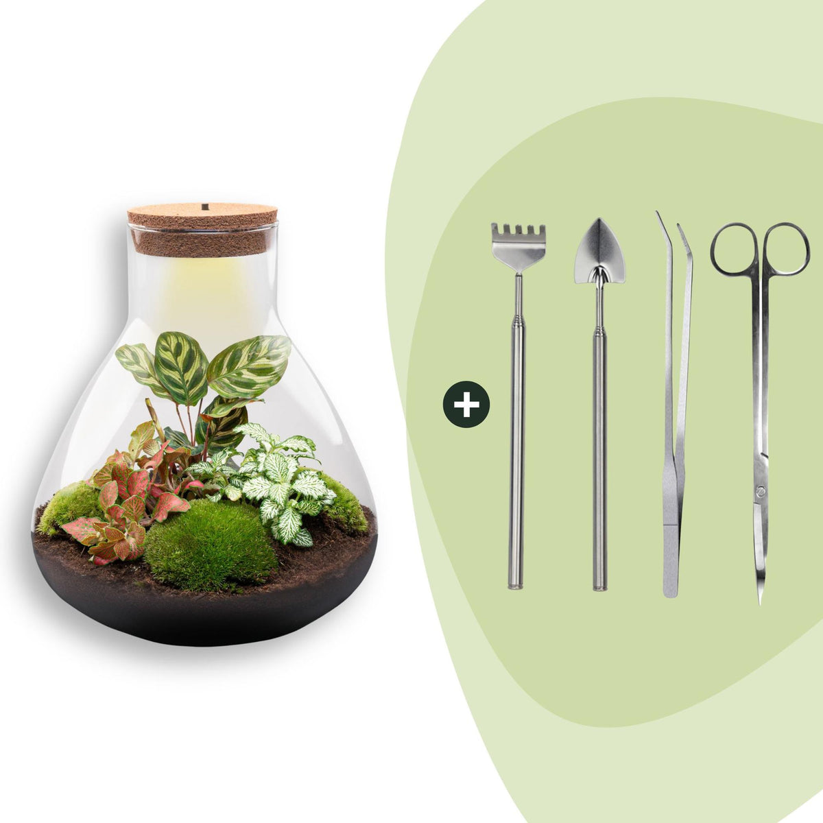 Flaschengarten Sam XL Rot – DIY Bausatz Terrarium – ↕35cm – Do It Yourself Pflanzen – Set – Autarkes Mini – Ansicht 10