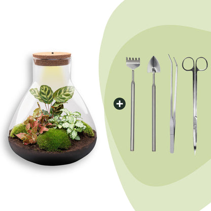 Flaschengarten Sam XL Rot – DIY Bausatz Terrarium – ↕35cm – Do It Yourself Pflanzen – Set – Autarkes Mini – Ansicht 10