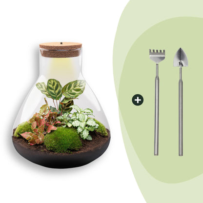 Flaschengarten Sam XL Rot – DIY Bausatz Terrarium – ↕35cm – Do It Yourself Pflanzen – Set – Autarkes Mini – Ansicht 9