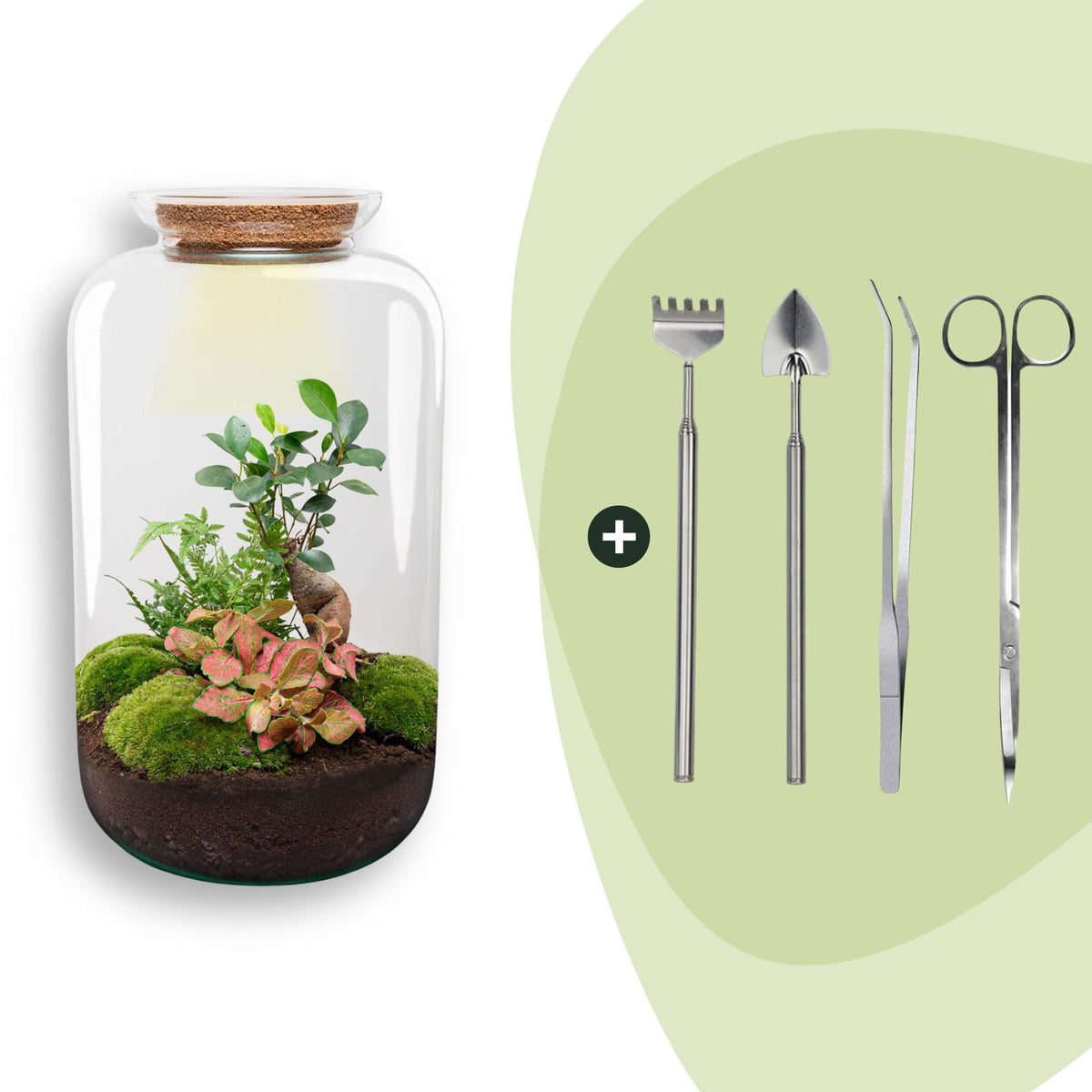 Flaschengarten Sven Bonsai – DIY Bausatz Terrarium – ↕43cm – Do It Yourself Pflanzen – Ansicht 10