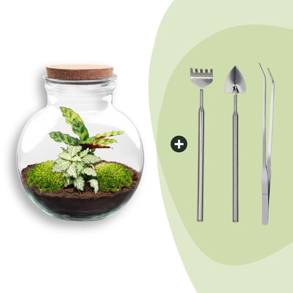 Flaschengarten Teddy – DIY Bausatz Terrarium – ↕26,5cm – Do It Yourself Pflanzen – Set im Glas mit Kork – Ansicht 9