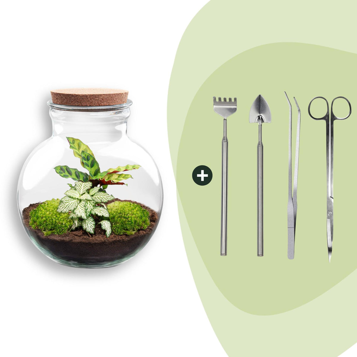 Flaschengarten Teddy – DIY Bausatz Terrarium – ↕26,5cm – Do It Yourself Pflanzen – Set im Glas mit Kork – Ansicht 10