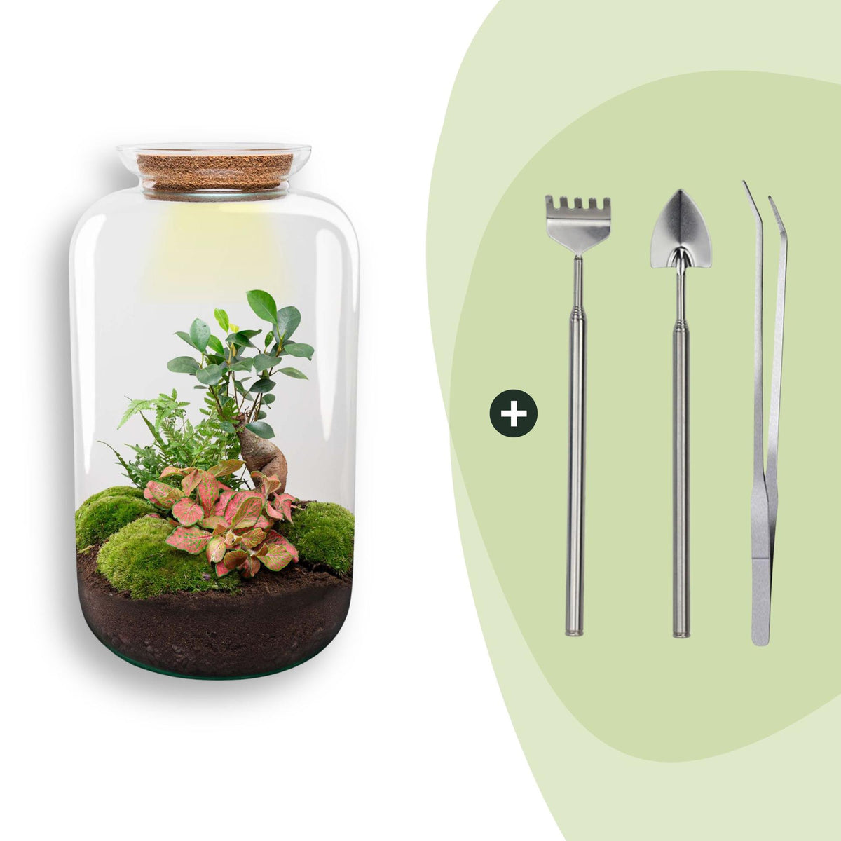 Flaschengarten Sven Bonsai – DIY Bausatz Terrarium – ↕43cm – Do It Yourself Pflanzen – Ansicht 9
