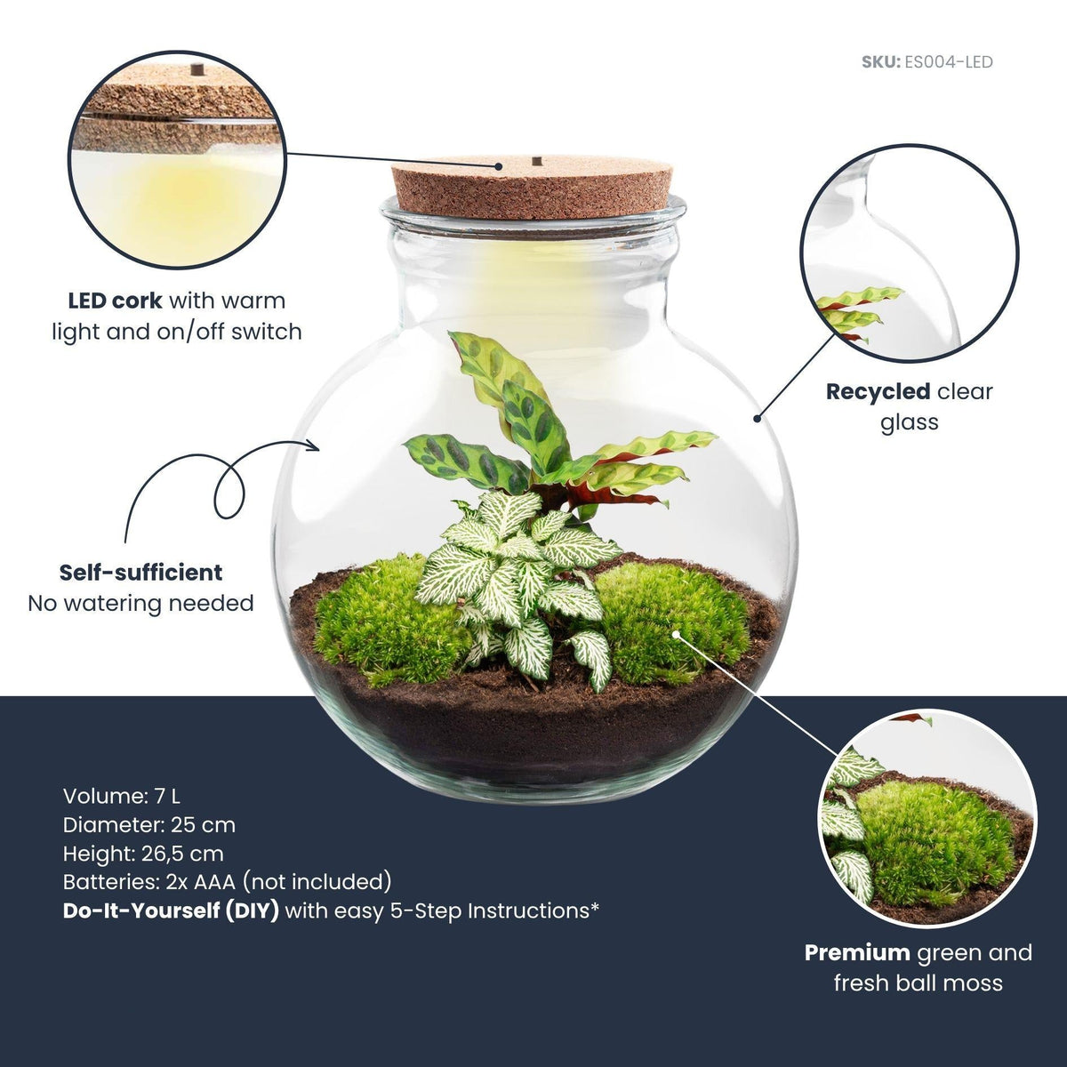 Flaschengarten Teddy – DIY Bausatz Terrarium – ↕26,5cm – Do It Yourself Pflanzen – Set im Glas mit Kork – Ansicht 6