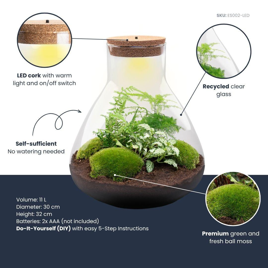 Flaschengarten Sam XL – DIY Bausatz Terrarium – ↕35cm – Do – It – Yourself Pflanzen – Set mit Korkdeckel – Ansicht 6