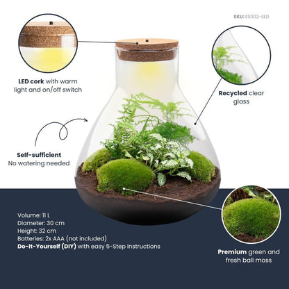 Flaschengarten Sam XL – DIY Bausatz Terrarium – ↕35cm – Do – It – Yourself Pflanzen – Set mit Korkdeckel – Ansicht 6