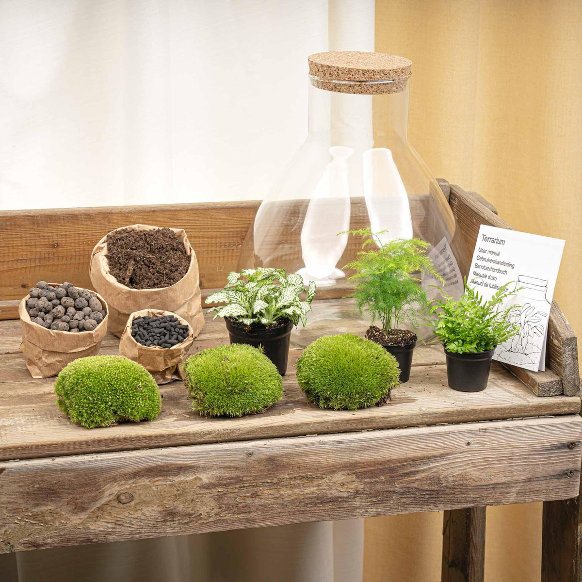 Flaschengarten Sam XL – DIY Bausatz Terrarium – ↕35cm – Do – It – Yourself Pflanzen – Set mit Korkdeckel – Ansicht 8