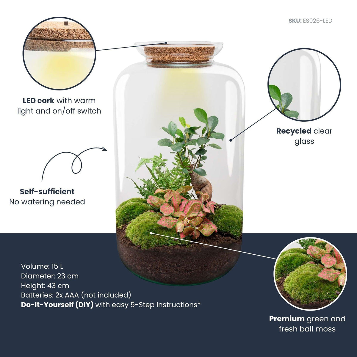 Flaschengarten Sven Bonsai – DIY Bausatz Terrarium – ↕43cm – Do It Yourself Pflanzen – Ansicht 6