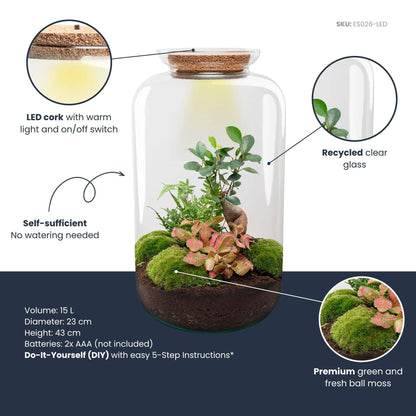 Flaschengarten Sven Bonsai – DIY Bausatz Terrarium – ↕43cm – Do It Yourself Pflanzen – Ansicht 6