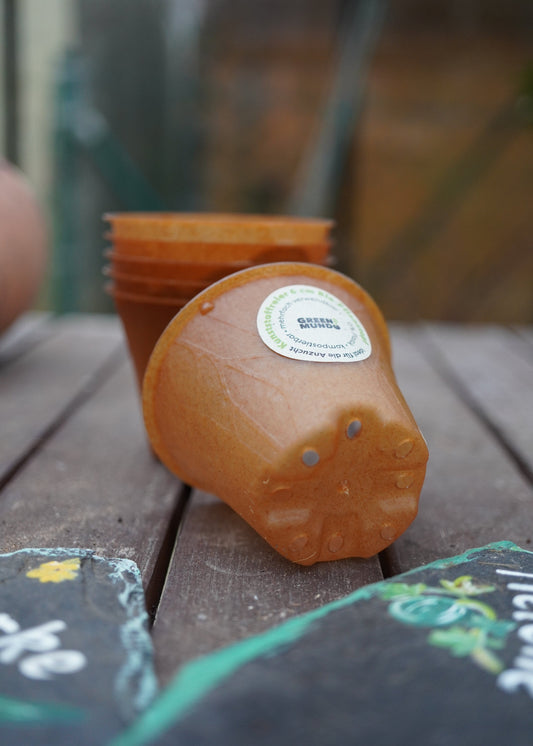 Bio-Pflanztopf 6cm plastikfrei – Kompostierbarer Anzuchttopf aus nachwachsenden Rohstoffen – Für Kräuter, Gemüse & Jungpflanzen – Mini TOPFI hellbraun