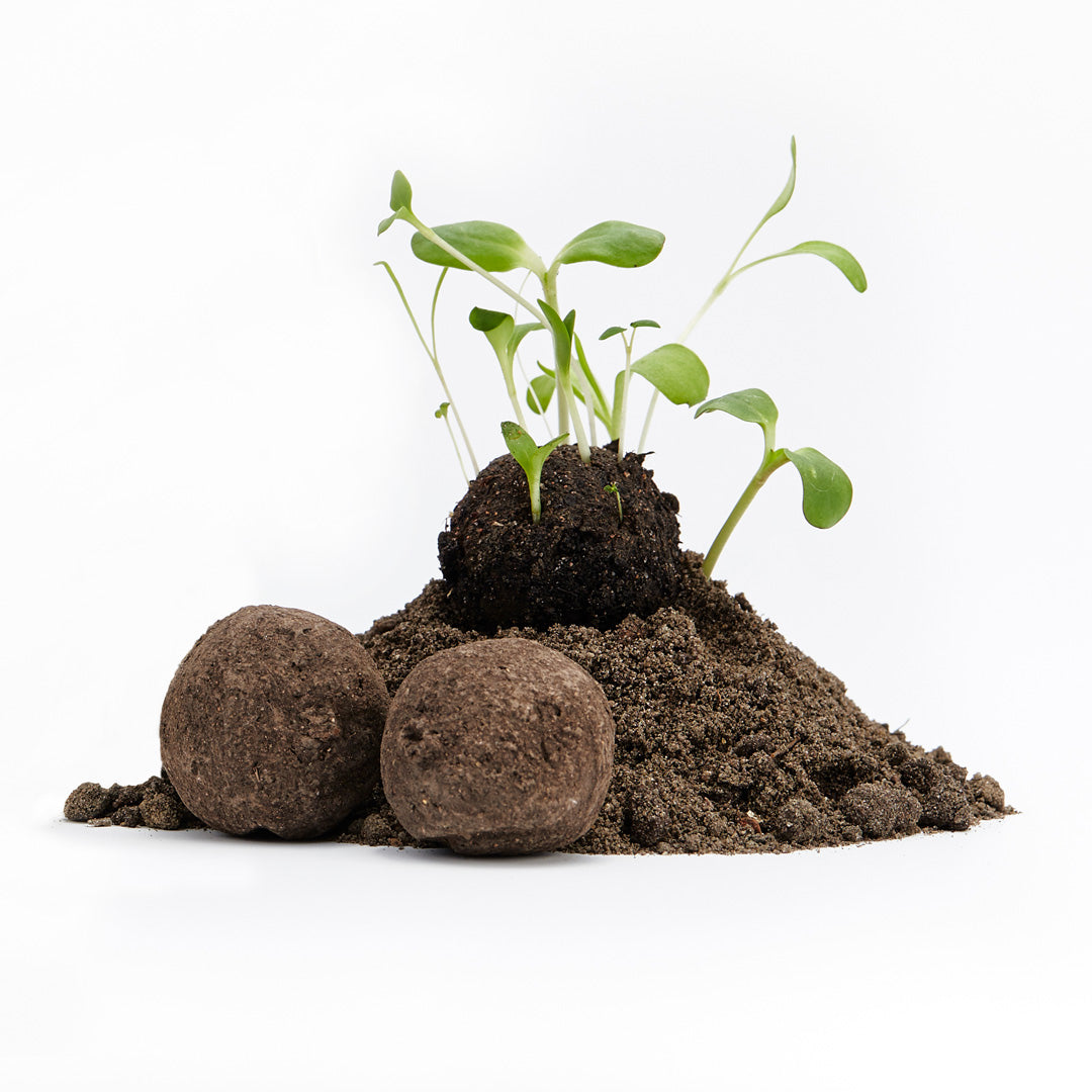 Lose Wildblumen-Samenbomben, unverpackt 