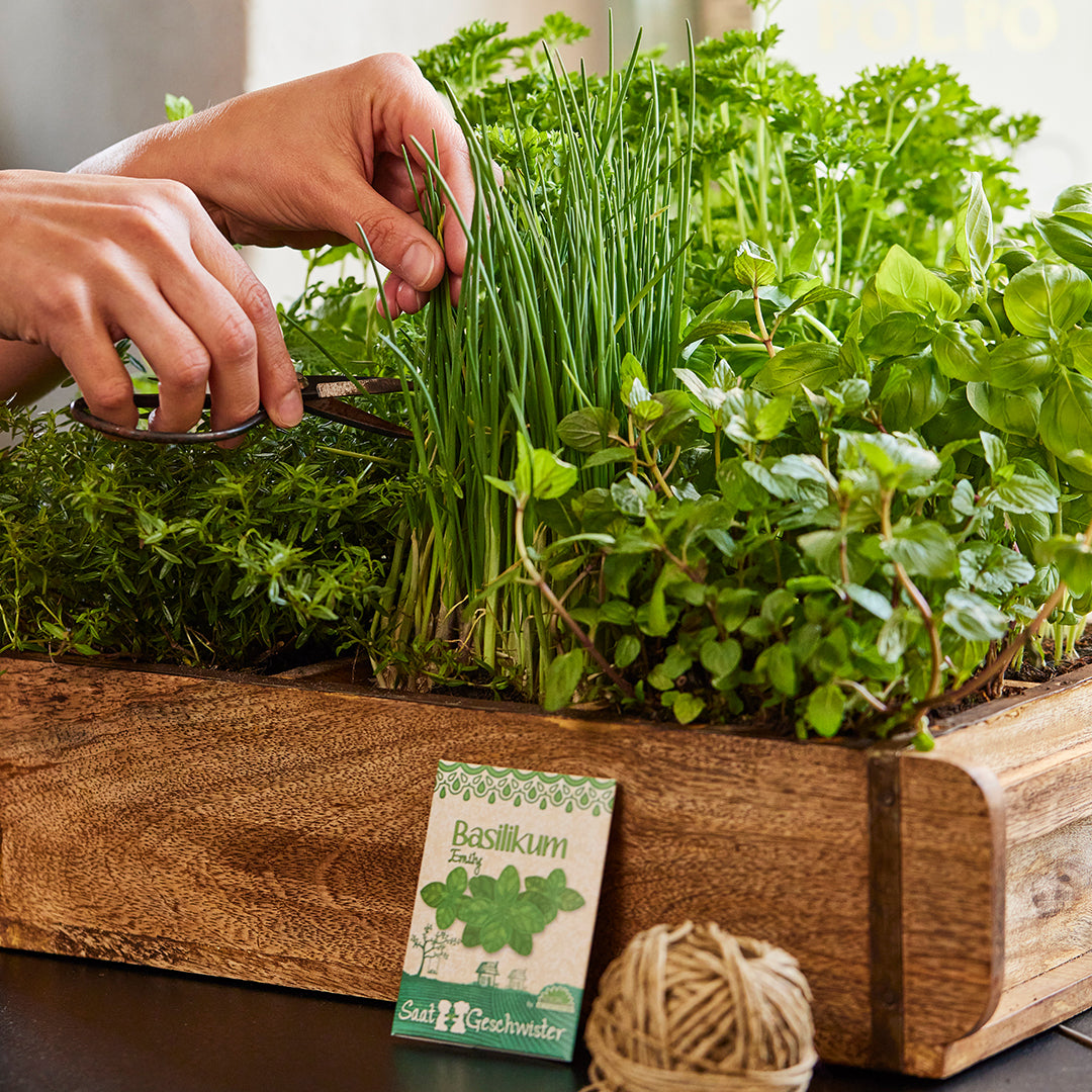 Ziegelform mit 6 Fächern 