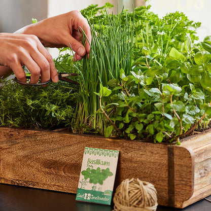 Ziegelform mit 6 Fächern 