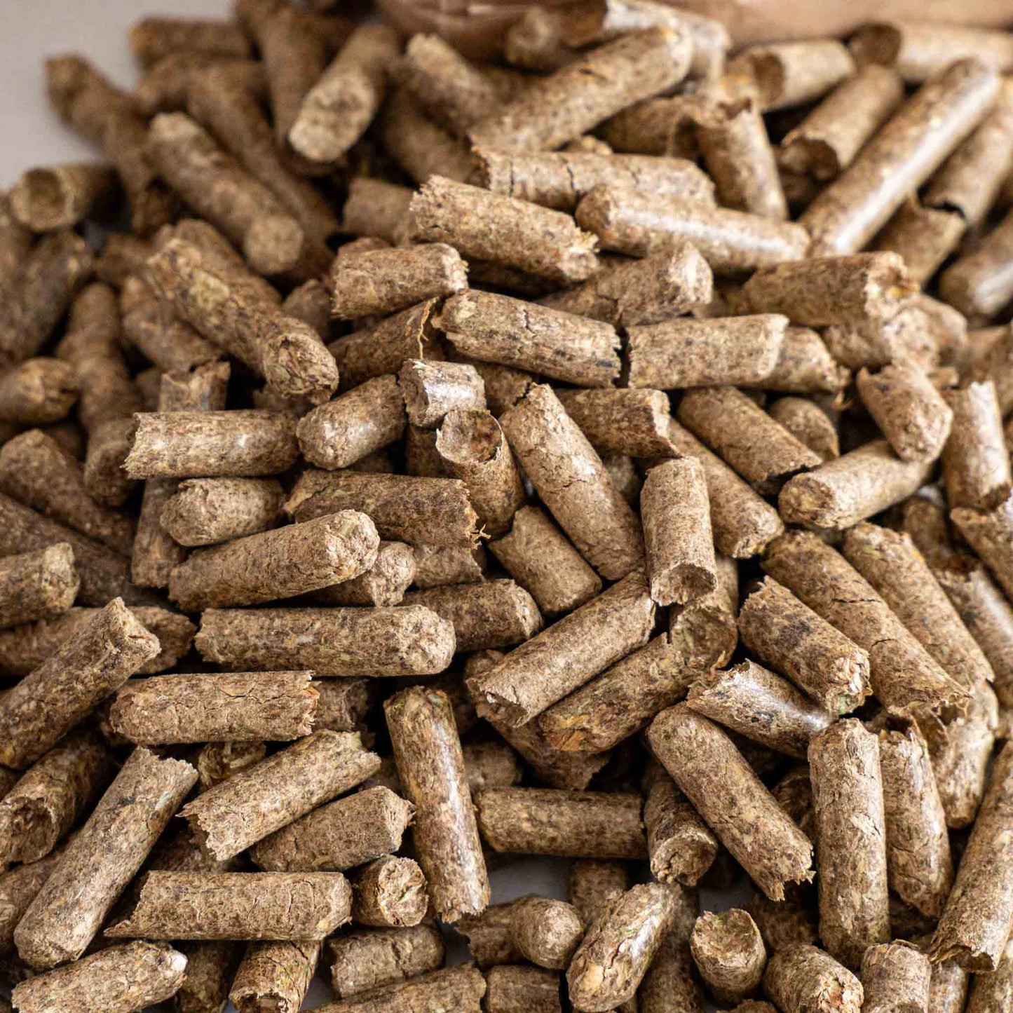 Strohpellets Gartenmulch aus Gerstenstroh 6mm – Hochsaugfähige Mulchpellets für Hochbeet Gemüse & Beete – Natürlicher Bodenverbesserer – Regional produziert