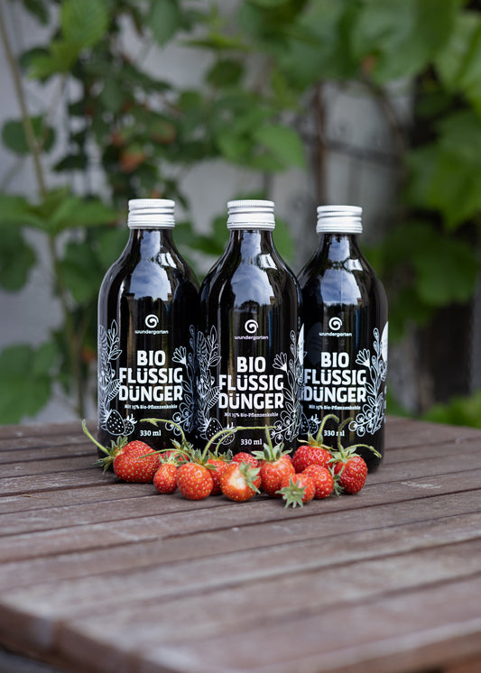 Wundergarten Bio Flüssigdünger – 100% pflanzlicher Volldünger mit Pflanzenkohle – Für Obst Gemüse Kräuter & Beeren – Nachhaltiger Dünger in Glasflasche