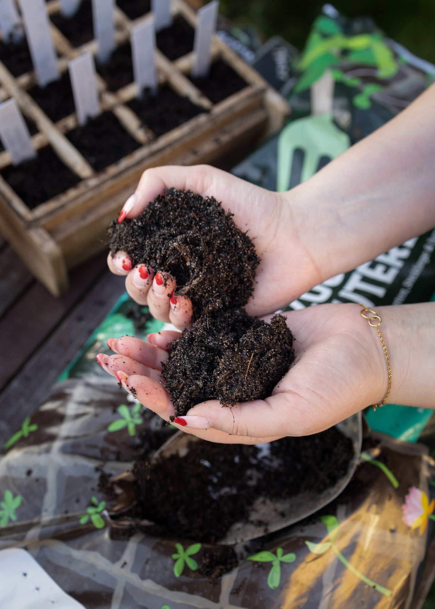 Wundergarten Anzucht- und Kräutererde 20L – 100% organische Bioerde für Samen Kräuter & Jungpflanzen – Torfreduziert mit Pflanzenkohle – Lockere Erde für gesunde Wurzeln