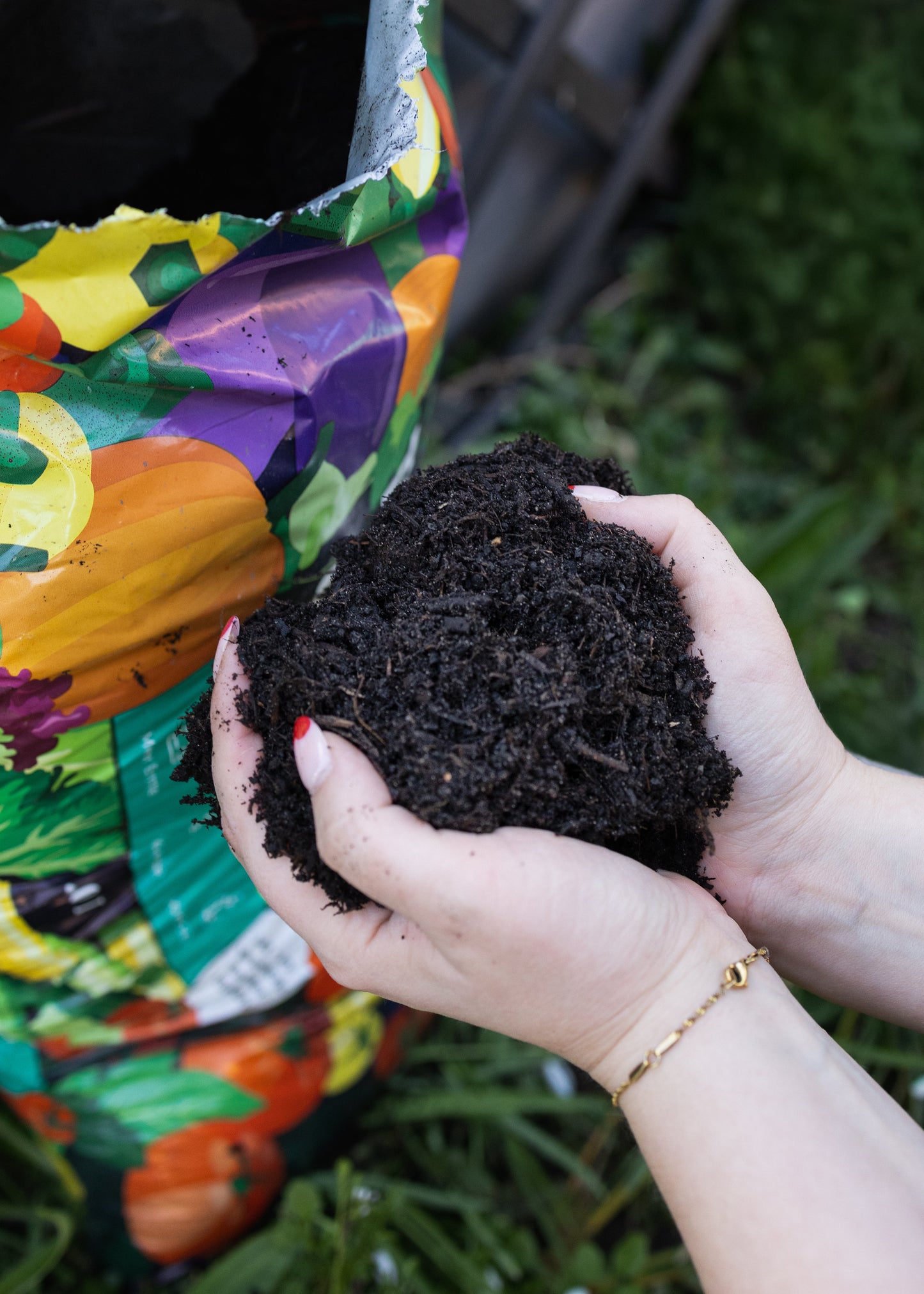 Wundergarten Tomaten- und Gemüseerde 20L – Nährstoffreiche Pflanzerde mit Pflanzenkohle – Für Tomaten Paprika Gurken & Hochbeet – Lockere Erde für reiche Ernte