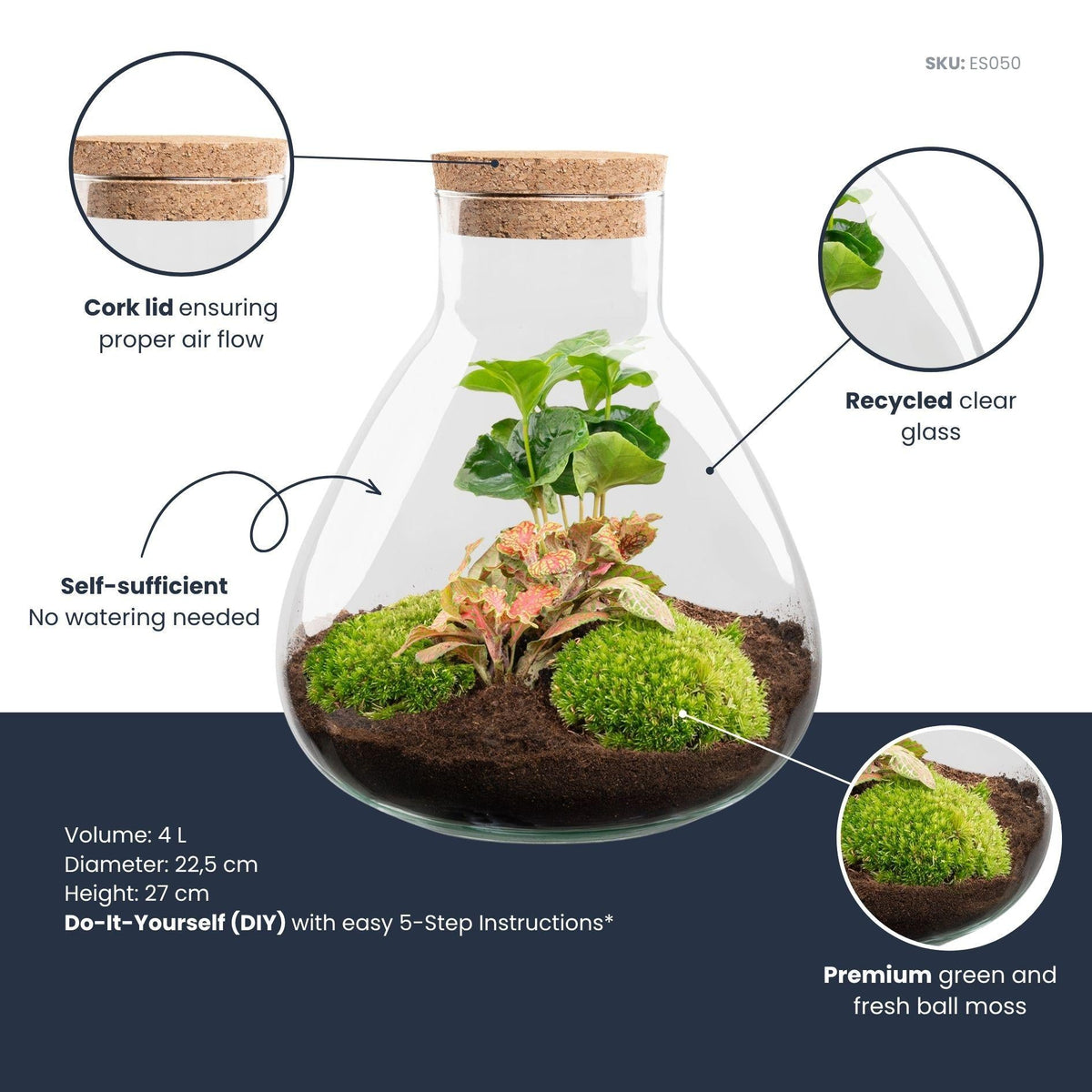 Flaschengarten Sammie Coffea – DIY Bausatz Terrarium – ↕26cm – Do It Yourself Pflanzen – Set mit Korkdeckel – Ansicht 6