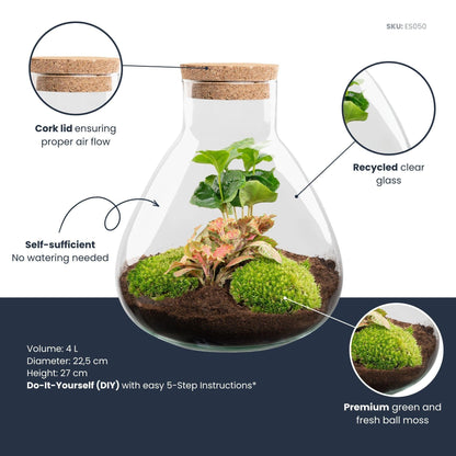 Flaschengarten Sammie Coffea – DIY Bausatz Terrarium – ↕26cm – Do It Yourself Pflanzen – Set mit Korkdeckel – Ansicht 6