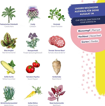 Gemüsesamen Set Alte Sorten – 12 samenfeste historische Gemüsesorten – Anzuchtset für Garten Hochbeet & Balkon – Aromatische Landsorten Saatgut Geschenkset 