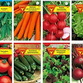 Gemüsesamen Set Starter – 9 Sorten inkl. Einlegegurke – Keimstarkes Saatgut für Garten Hochbeet & Balkon – Gemüse Anzuchtset für Selbstversorger 