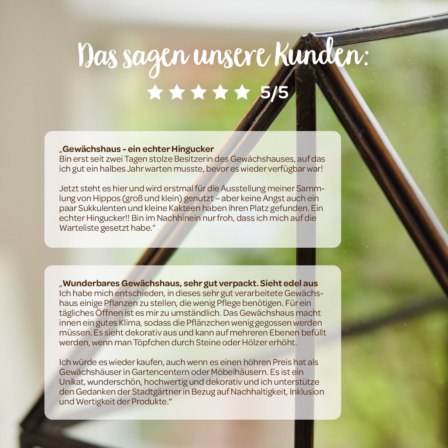 Hochwertiges Anzucht- und Gewächshaus 