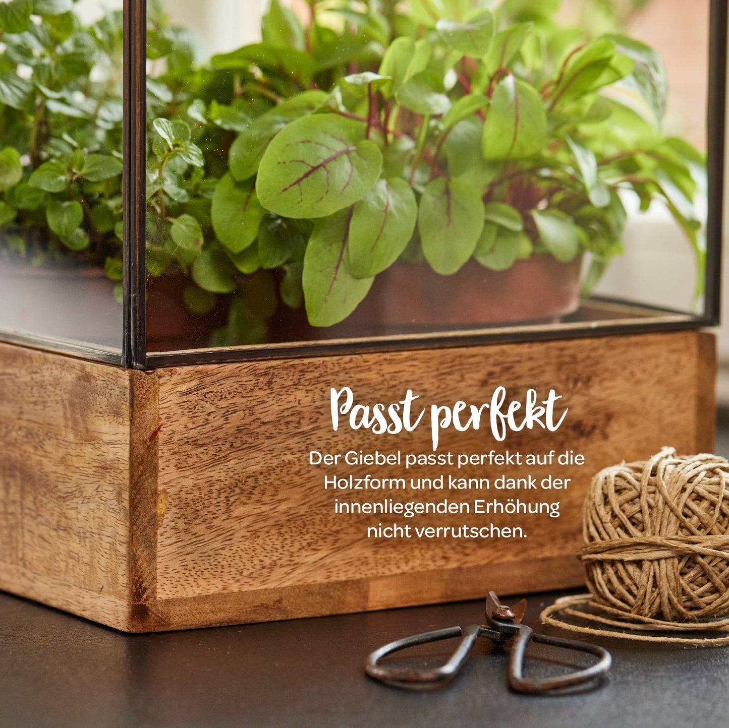 Hochwertiges Anzucht- und Gewächshaus 