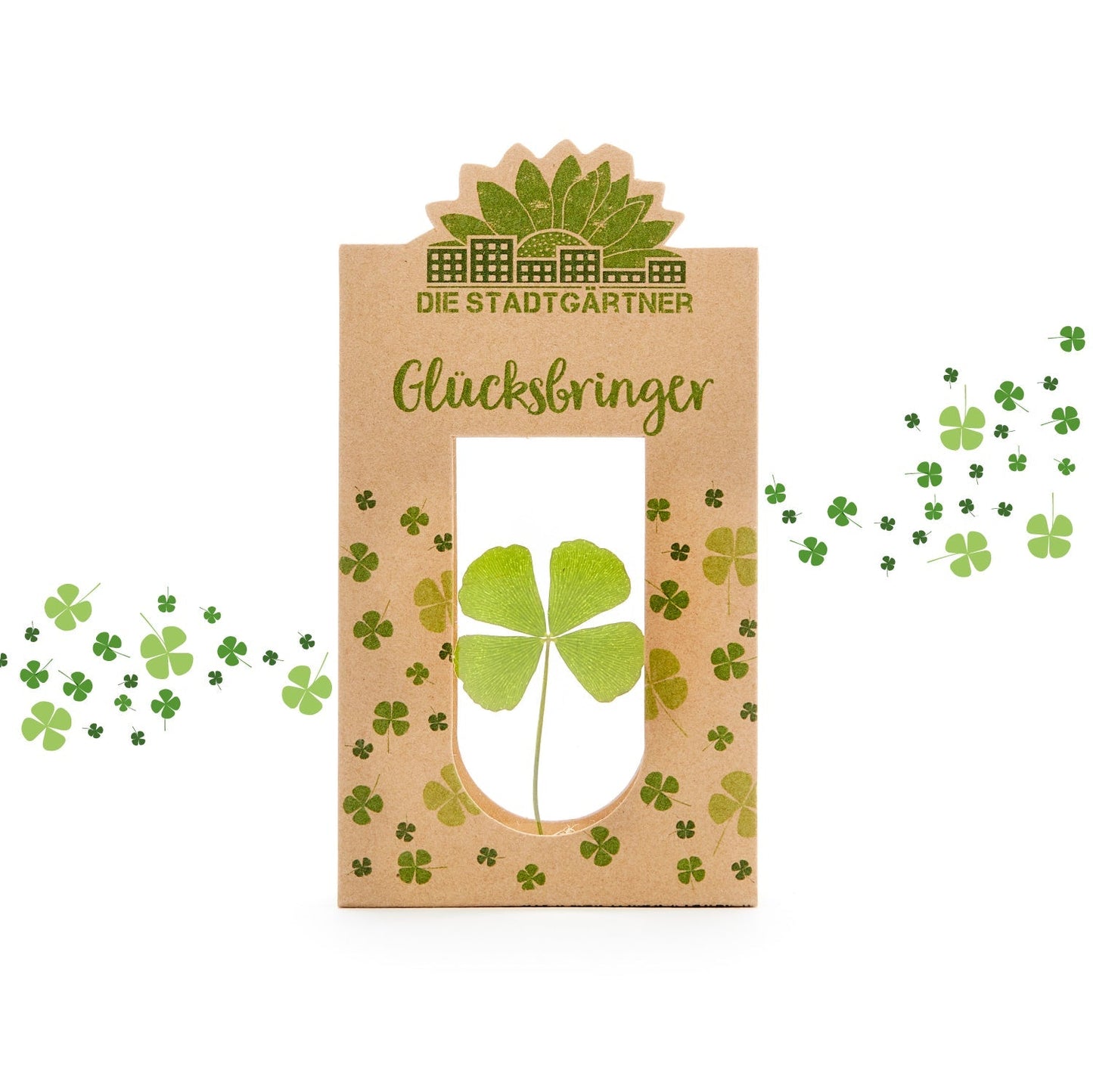 Glücksbringer – Echtes Kleeblatt 