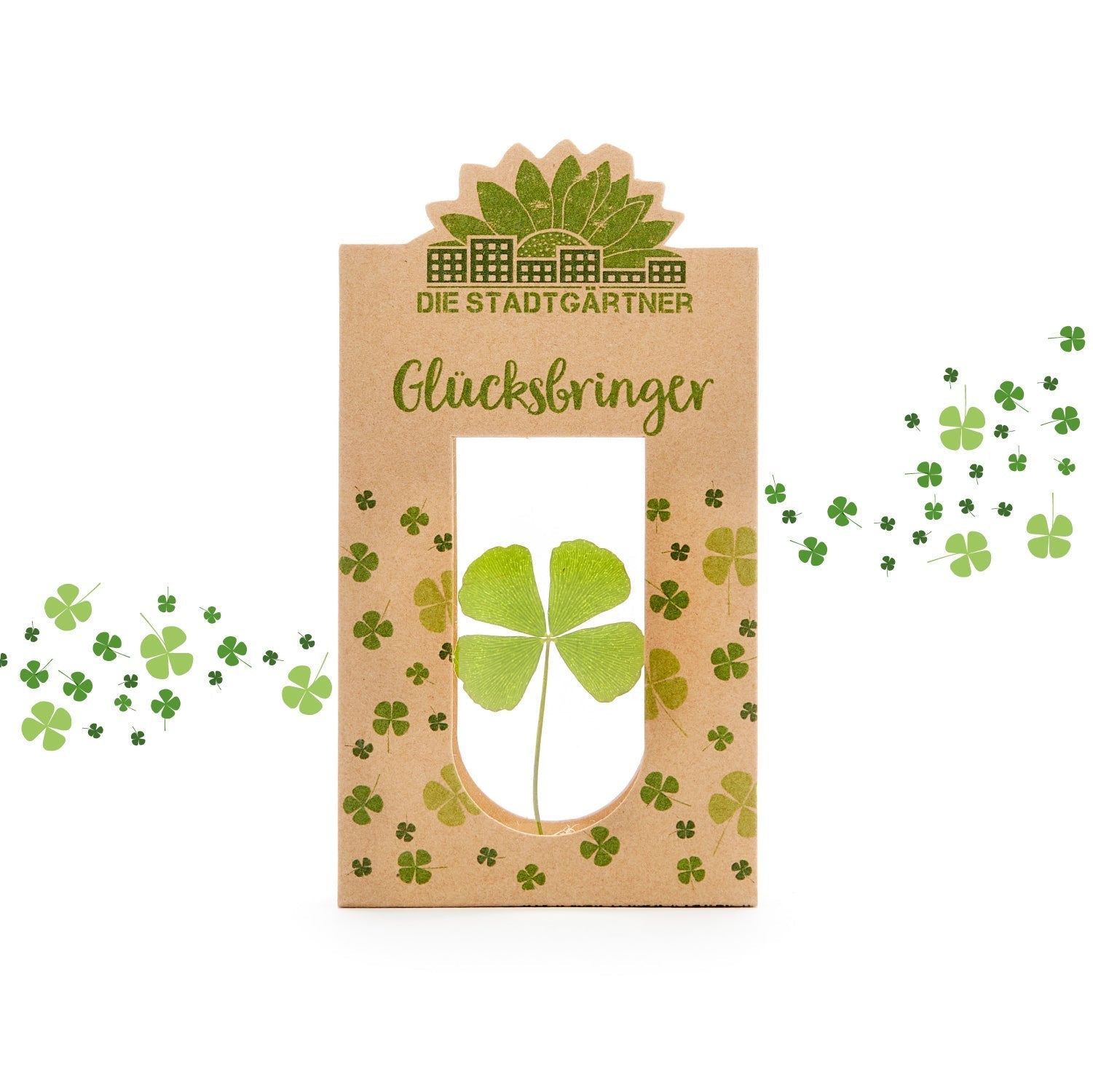 Glücksbringer – Echtes Kleeblatt 