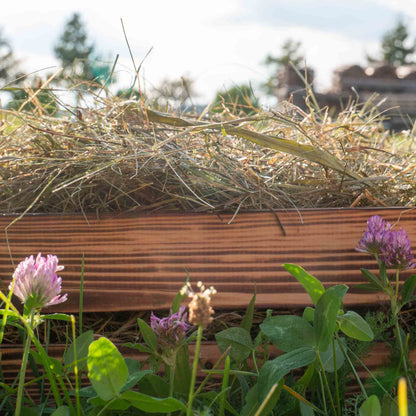 Kräuterheu Premium Gartenmulch – 100% Naturheu aus Kräuterwiesen – Bodenabdeckung für Hochbeet Gemüse & Zierpflanzen – Nachhaltiger Mulch aus erstem Schnitt