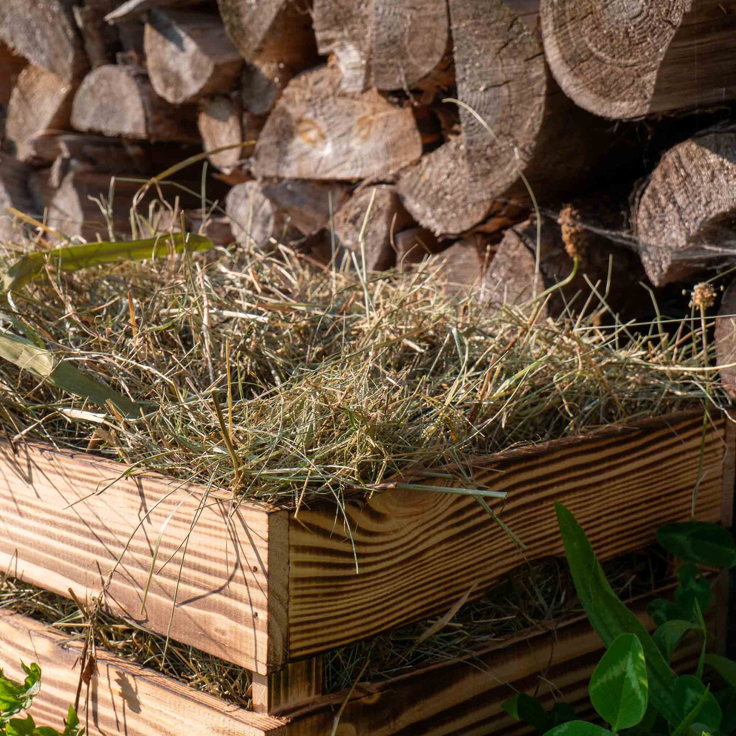 Kräuterheu Premium Gartenmulch – 100% Naturheu aus Kräuterwiesen – Bodenabdeckung für Hochbeet Gemüse & Zierpflanzen – Nachhaltiger Mulch aus erstem Schnitt